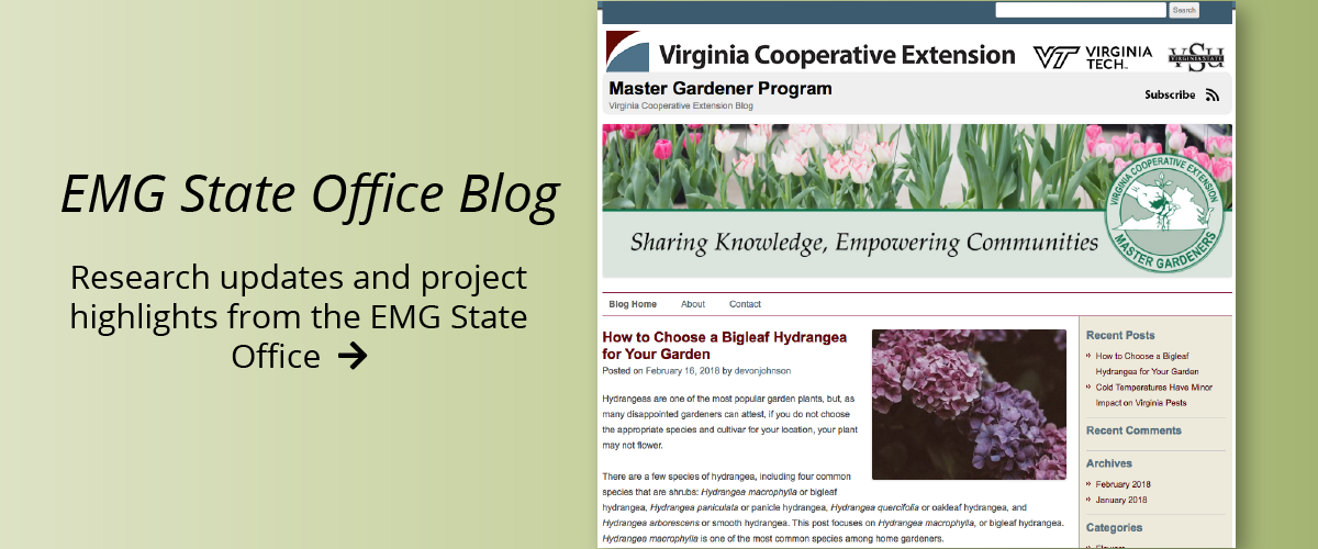 emg state office blog