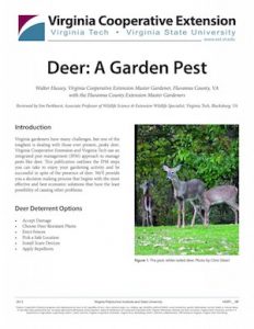 Deer publication cover