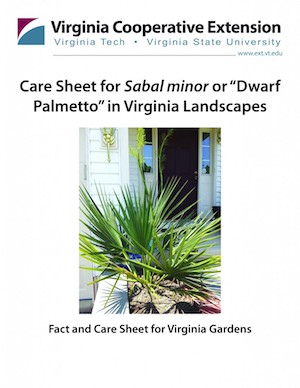 cover of publication with title " Care Sheet for Sabal minor or “Dwarf Palmetto” in Virginia Landscapes" above a photo of a plant with spikey green leaves