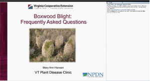 screen shot of boxwood blight webinar