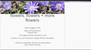 screen shot of flowers webinar