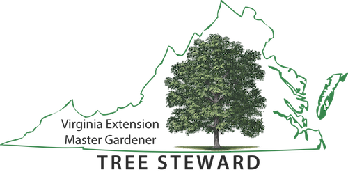 outline of the Commonwealth of Virginia with an illustrated tree overlaid