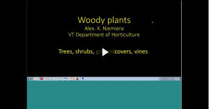 woody plants webinar intro slide