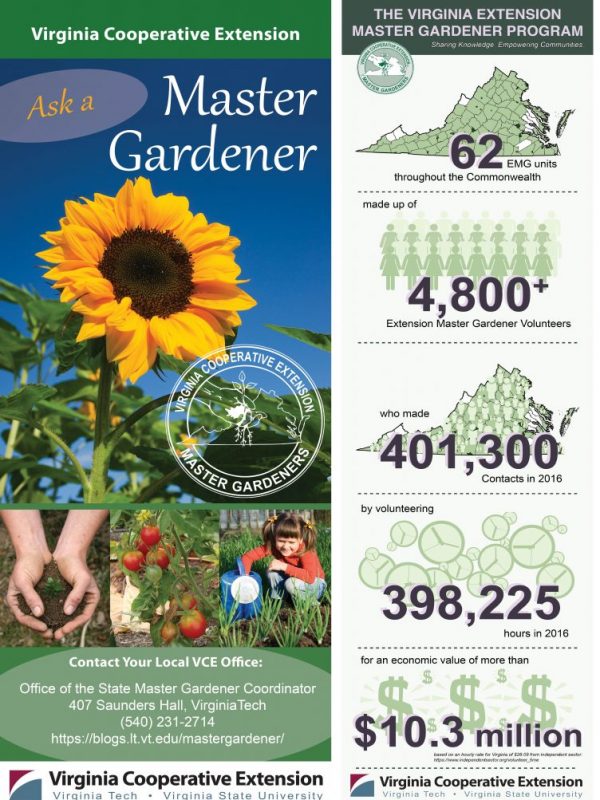 banner on left side and infographic on right combined banner