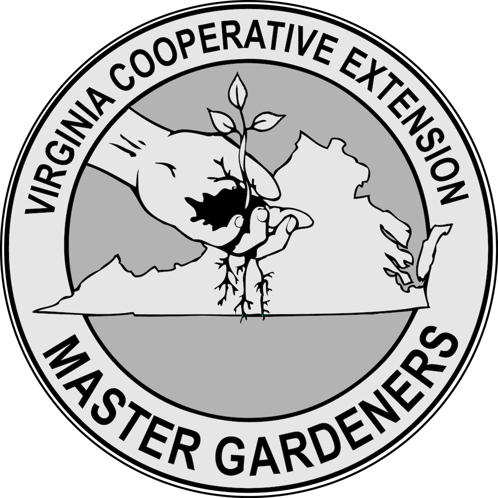 emg logo grey