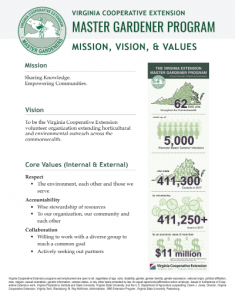 screen shot of mission vision and values pdf