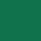 dark green color swatch