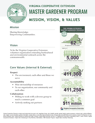 mission vision and values flier