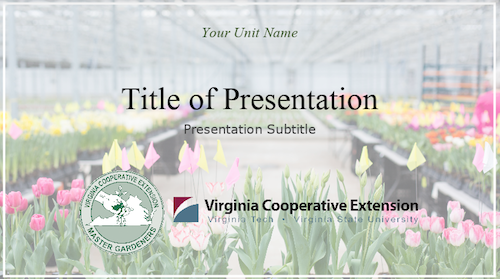 spring themed presentation template