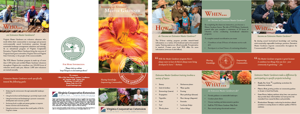 brochure