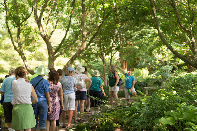 group of people standing outside in the woods while one person gestures with their hand