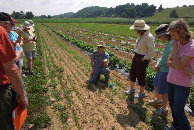 Resources & Updates For Virginia Master Gardeners