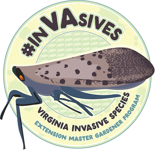 logo showing insect with long front legs and purple wings with text #invasives