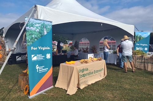 A large tent at an outdoor festival has banners and table cloths reading "Virginia Cooperative Extension."
