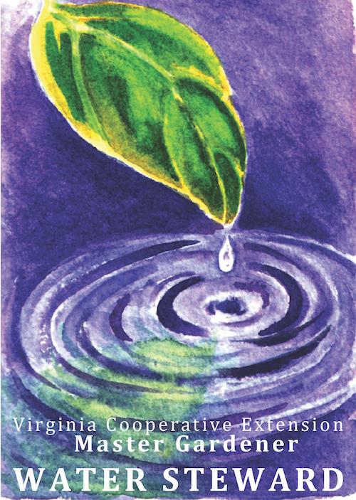 Image of a leaf dripping into a ripple of water. Beneath it reads the title Virginia Cooperative Extension Master Gardener: Water Steward